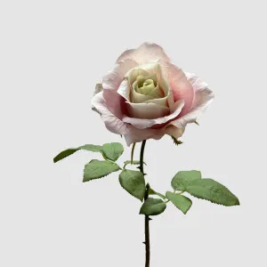 Rose Spray Pink 53cm by Florabelle Living, a Plants for sale on Style Sourcebook