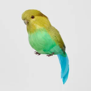 Glitter Beak Budgie Green by Vixen & Velvet, a Christmas for sale on Style Sourcebook