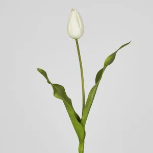 Soft Touch Tulip Stem White by Florabelle Living, a Plants for sale on Style Sourcebook