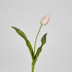 Soft Touch Tulip Stem Light Pink by Florabelle Living, a Plants for sale on Style Sourcebook