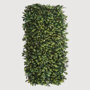 Laurel Trellis UV Treated 1x2m by Florabelle Living, a Plants for sale on Style Sourcebook
