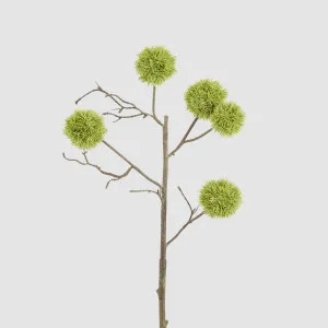 Thistle Globe Spray 80cm Green by Florabelle Living, a Plants for sale on Style Sourcebook