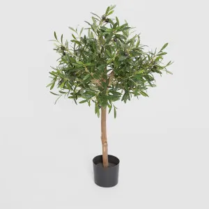Olive Green Topping Tree 70cm by TREE CREATIONS, a Plants for sale on Style Sourcebook