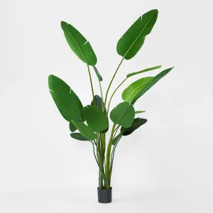 Bird of Paradise 2.5m by TREE CREATIONS, a Plants for sale on Style Sourcebook