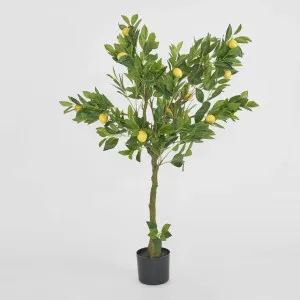 Lemon Tree Real Touch 120cm by TREE CREATIONS, a Plants for sale on Style Sourcebook