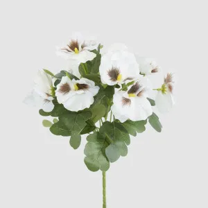 White Pansy Bush 32cm by JMC FLORALS, a Plants for sale on Style Sourcebook