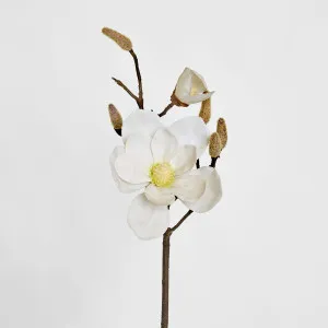 Magnolia Spray 43cm White by Florabelle Living, a Plants for sale on Style Sourcebook
