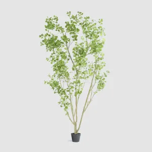 Real Touch Pieris Japonica Tree by TREE CREATIONS, a Plants for sale on Style Sourcebook