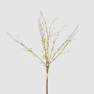Pussy Willow Floral Stem With Leaves by Florabelle Living, a Plants for sale on Style Sourcebook
