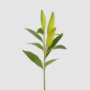 Lily Bud Stem by Florabelle Living, a Plants for sale on Style Sourcebook