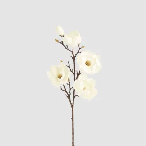 Magnolia Stem With 5 Flowers 102cm by Florabelle Living, a Plants for sale on Style Sourcebook
