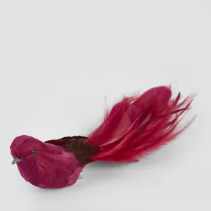 Olsern Clip on Bird Dark Red (Set of 4) by Vixen & Velvet, a Christmas for sale on Style Sourcebook