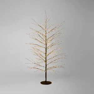 Black Forest Light Up Tree with 1300 Lights 180cm by Vixen & Velvet, a Christmas for sale on Style Sourcebook