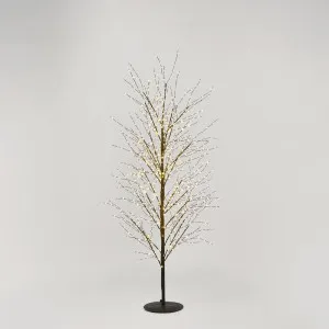 Black Forest Light Up Tree with 900 Lights 150cm by Vixen & Velvet, a Christmas for sale on Style Sourcebook