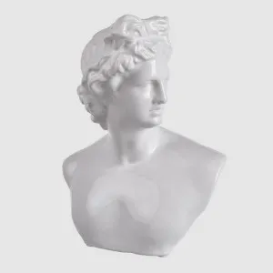 Julian Bust LGE by Florabelle Living, a Statues & Ornaments for sale on Style Sourcebook