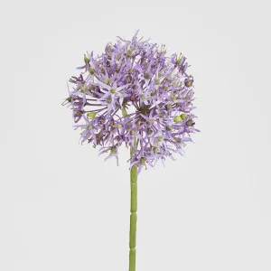 Allium Flower Stem 74cm Lavender by Florabelle Living, a Plants for sale on Style Sourcebook