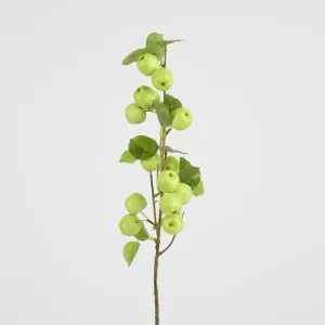 Wild Crab Apple Stem Green by Florabelle Living, a Plants for sale on Style Sourcebook