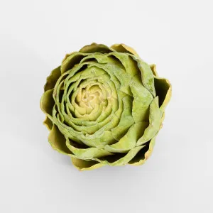 Cut Artichoke Green by Florabelle Living, a Plants for sale on Style Sourcebook
