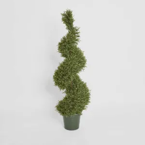 Rosemary Spiral Tree 1.2m by TREE CREATIONS, a Plants for sale on Style Sourcebook