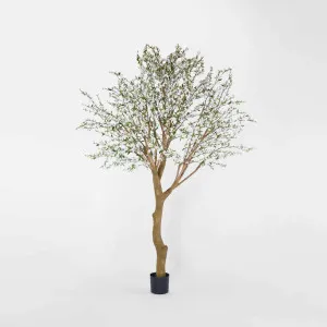 Giant Cherry Blossom Tree 2.4m White by TREE CREATIONS, a Plants for sale on Style Sourcebook
