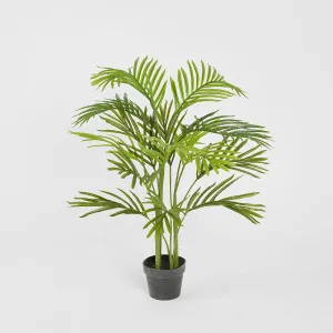 Mini Palm Tree Real Touch 4 Branches 15 Leaves in Pot 1m by TREE CREATIONS, a Plants for sale on Style Sourcebook
