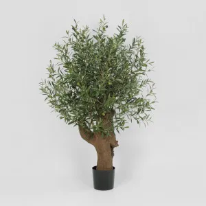 Giant Olive Tree With 3468 Leaves & 42 Fruits Green 110cm by TREE CREATIONS, a Plants for sale on Style Sourcebook