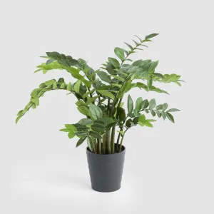 Real Touch Zanzibar 95cm by TREE CREATIONS, a Plants for sale on Style Sourcebook