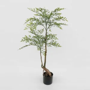 Nandina Tree 120cm by TREE CREATIONS, a Plants for sale on Style Sourcebook