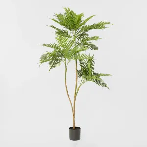 Real Touch Fern Palm 190cm by TREE CREATIONS, a Plants for sale on Style Sourcebook