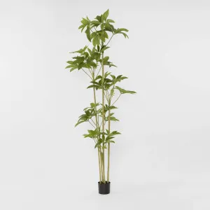 Real Touch Frangipani Tree 210cm by TREE CREATIONS, a Plants for sale on Style Sourcebook