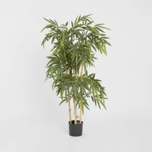 Bamboo Tree 1.2m by TREE CREATIONS, a Plants for sale on Style Sourcebook