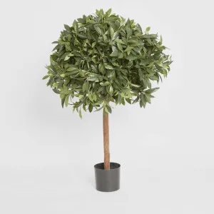 Laurel Ball Tree 1.1m by TREE CREATIONS, a Plants for sale on Style Sourcebook