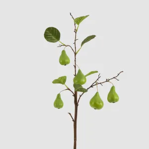 Pear Fruit Spray Green by Florabelle Living, a Plants for sale on Style Sourcebook