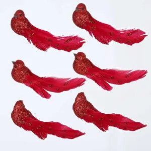 Reddin Boxed Set of Six Clip on Birds Red by Vixen & Velvet, a Christmas for sale on Style Sourcebook