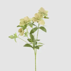 Helleborus Flower Spray 72cm Green by Florabelle Living, a Plants for sale on Style Sourcebook