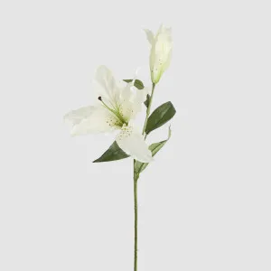 Casablanca 76cm Floral Stem White by JMC FLORALS, a Plants for sale on Style Sourcebook