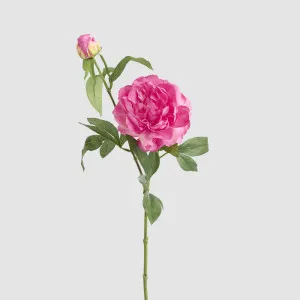 Peony 69cm Floral Stem Hot Pink by JMC FLORALS, a Plants for sale on Style Sourcebook