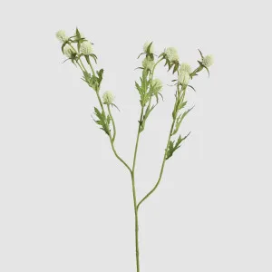 Thistle Spray 73cm White by JMC FLORALS, a Plants for sale on Style Sourcebook