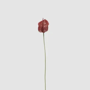 Anthurium Lily Real Touch Burgundy by Florabelle Living, a Plants for sale on Style Sourcebook