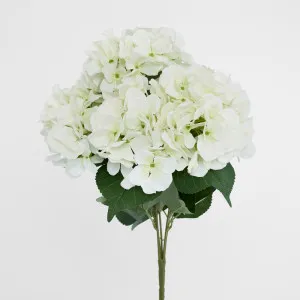 Hydrangea Bundle with Leaves 55cm White by Florabelle Living, a Plants for sale on Style Sourcebook