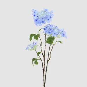 Lace cap Hydrangea Spray 70cm Blue by Florabelle Living, a Plants for sale on Style Sourcebook