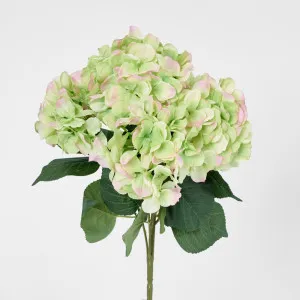 Hydrangea Bundle with Leaves 55cm Green & Pink by Florabelle Living, a Plants for sale on Style Sourcebook