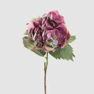 Hydrangea Large Stem With Leaves 75cm Dark Pink by Florabelle Living, a Plants for sale on Style Sourcebook