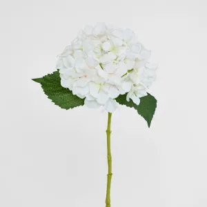Hydrangea Stem 62cm White by Florabelle Living, a Plants for sale on Style Sourcebook