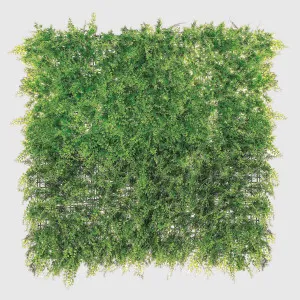 Fern Screen UV Treated 1x1m by Florabelle Living, a Plants for sale on Style Sourcebook