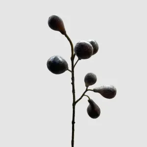 Fig Spray Brown 63cm by Florabelle Living, a Plants for sale on Style Sourcebook