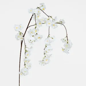 Trailing Cherry Blossom Stem White by JMC FLORALS, a Plants for sale on Style Sourcebook