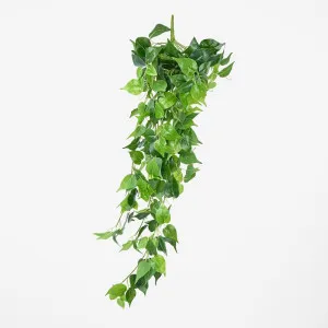 Hanging Pothos Spray by JMC FLORALS, a Plants for sale on Style Sourcebook
