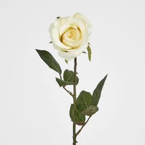 Long Stem Rose Pale Yellow by JMC FLORALS, a Plants for sale on Style Sourcebook