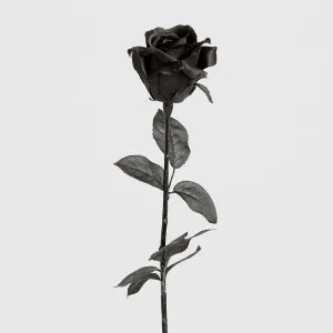 Long Stem Rose Black by JMC FLORALS, a Plants for sale on Style Sourcebook